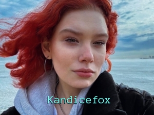 Kandicefox