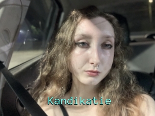 Kandikatie