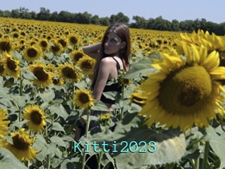 Kitti2023