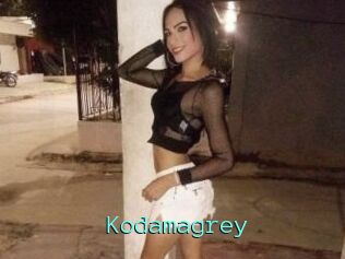 Kodamagrey