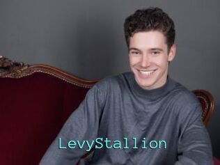 LevyStallion