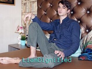 LiamDignified