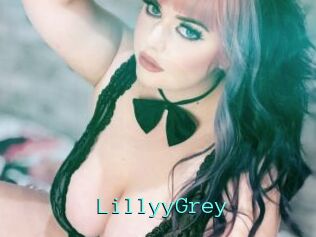 LillyyGrey