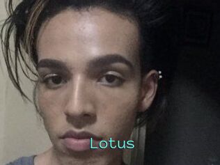 Lotus