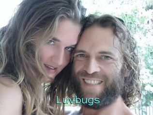Luvbugs