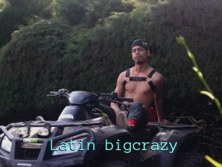 Latin_bigcrazy