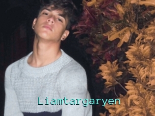 Liamtargaryen