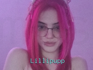 Lillipupp
