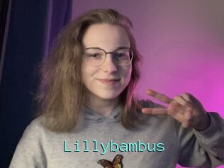 Lillybambus