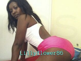 Lillyflower86