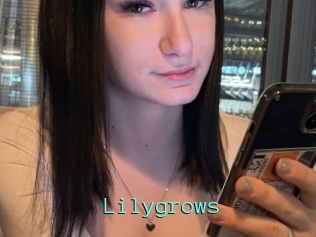 Lilygrows