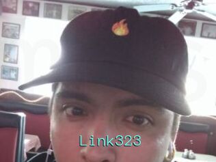Link323