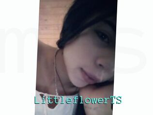 LittleflowerTS