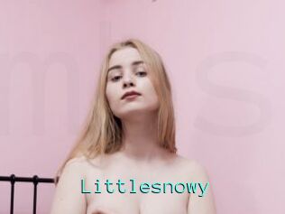 Littlesnowy