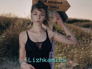 Lizhkamics