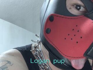 Logan_pup