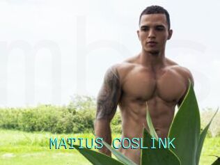 MATIUS_COSLINK