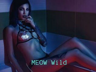 MEOW_Wild