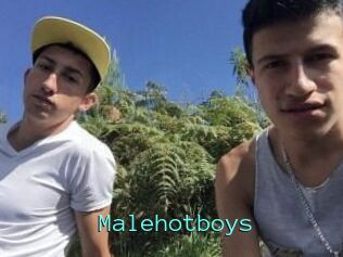 Malehotboys