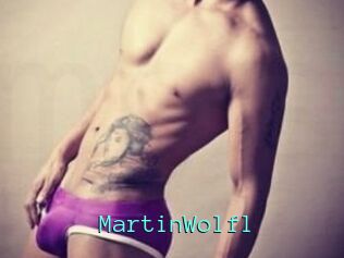 Martin_Wolfl