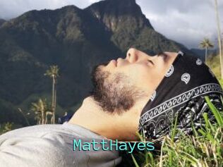MattHayes