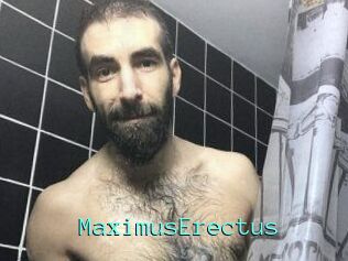 MaximusErectus