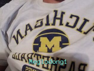 Meglodong1
