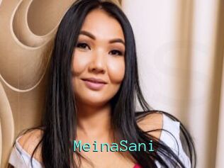 MeinaSani