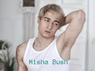 Misha_Bush