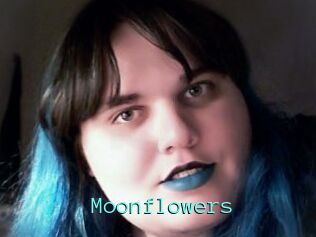Moonflowers