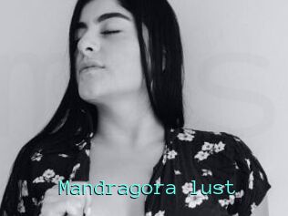 Mandragora_lust