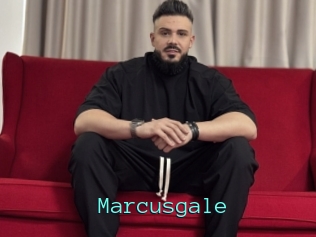 Marcusgale