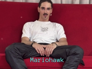 Mariohawk