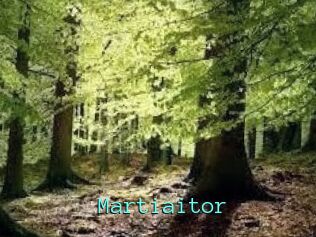 Martiaitor