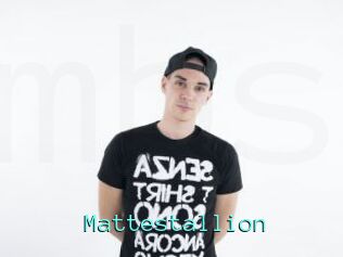 Mattestallion