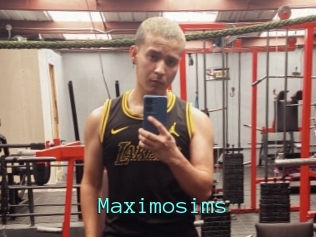 Maximosims