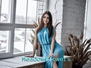 Meadowflowers
