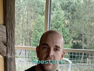 Meesterv