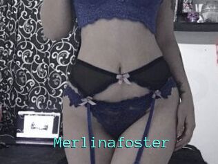 Merlinafoster