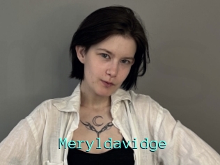 Meryldavidge