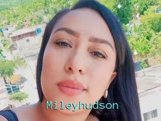 Mileyhudson