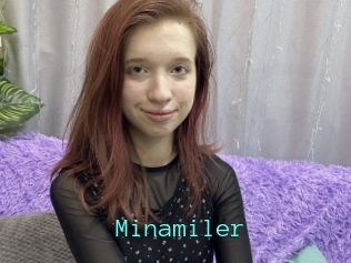 Minamiler