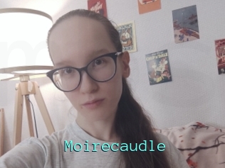 Moirecaudle