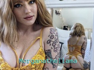 Morganathellama