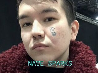 NATE_SPARKS