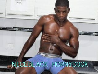 NICEBLACK_HORNYCOCK