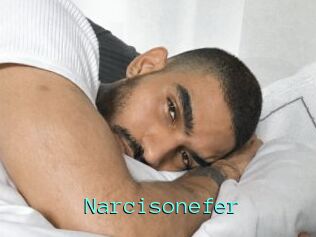 Narcisonefer