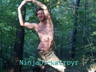 NinjaDickstroyr