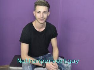 Nathanpervertgay