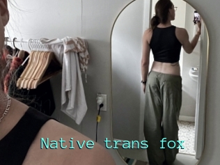 Native_trans_fox